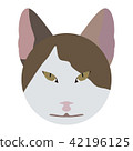 Cat Face Cat Face 42196125