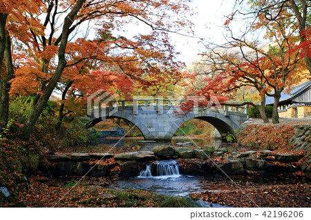 Autumn trip! Seonunsa, Autumn trip! Seonunsa, 42196206