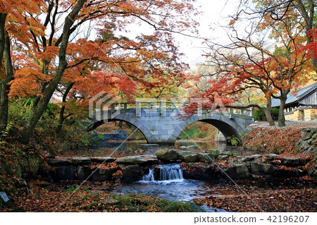 Autumn trip! Seonunsa, Autumn trip! Seonunsa, 42196207