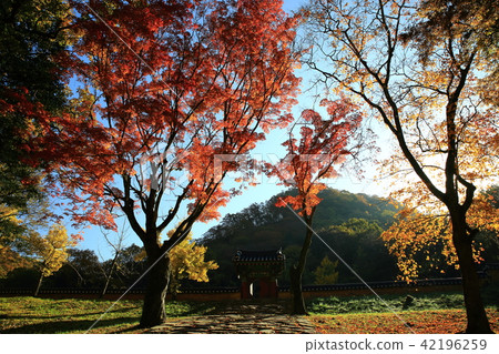 Autumn Baekyangsa! 42196259