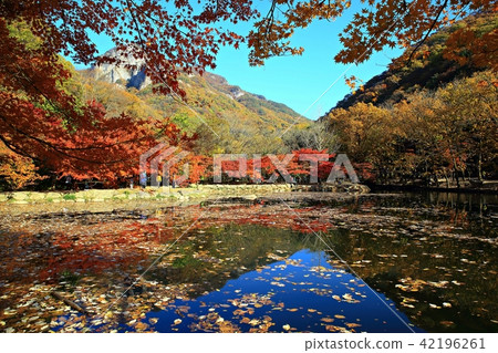 Autumn Baekyangsa! 42196261