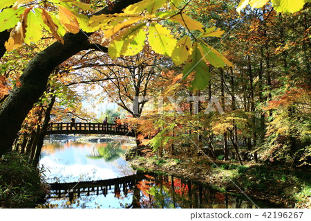Autumn Baekyangsa! 42196267