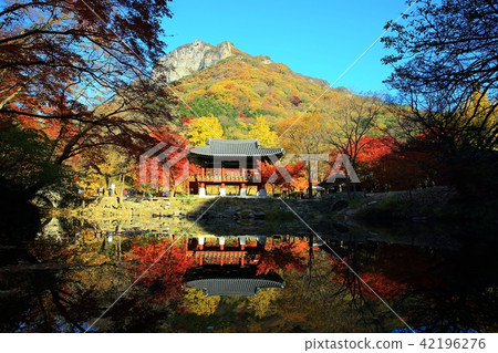 秋天Baekyangsa！ 42196276