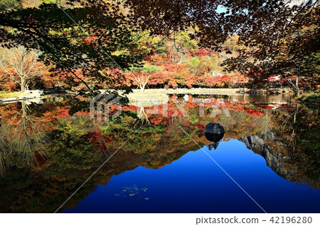 Autumn Baekyangsa! Autumn Baekyangsa! 42196280