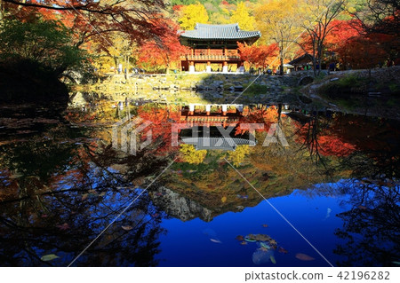 Autumn Baekyangsa! 42196282
