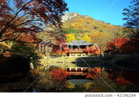 Autumn Baekyangsa! 42196284