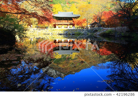 Autumn Baekyangsa! 42196286