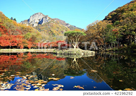 Autumn Baekyangsa! 42196292