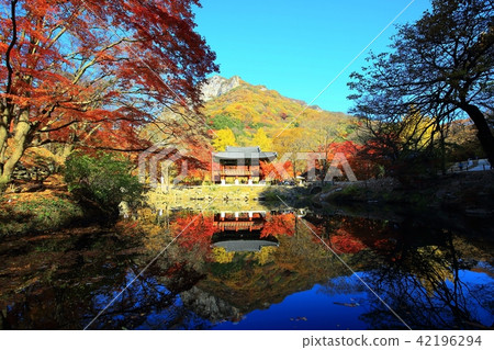 Autumn Baekyangsa! 42196294