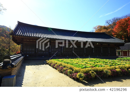 Autumn Baekyangsa! 42196296