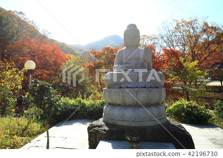 白楊寺的淪陷! 白楊寺的淪陷! 42196730