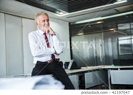senior businessman working in office.  42197047