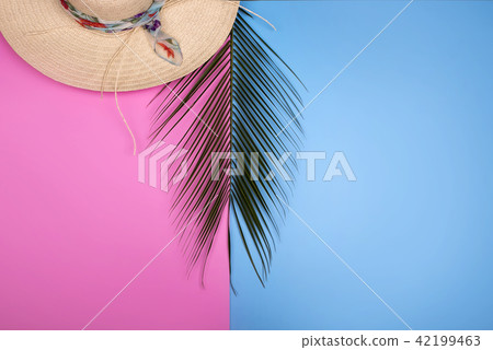 Colorful summer female fashion with Palm branches Colorful summer female fashion with Palm branches 42199463