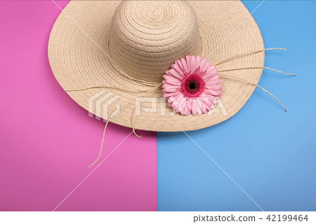 Gerbera and hat. Colorful summer female fashion on pink blue background 42199464