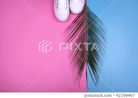 Colorful summer female fashion with Palm branches Colorful summer female fashion with Palm branches 42199467