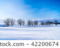 Biei Snow Country 42200674