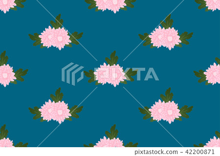 Pink Chrysanthemum on Indigo Blue Background Pink Chrysanthemum on Indigo Blue Background 42200871