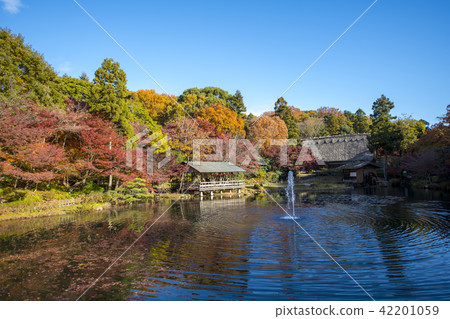 Autumn leaves image 42201059