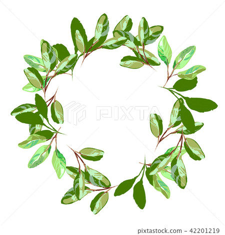 Herbal minimalistic round vector frame. Hand drawn plants, branches, leaves on white background Herbal minimalistic round vector frame. Hand drawn plants, branches, leaves on white background 42201219