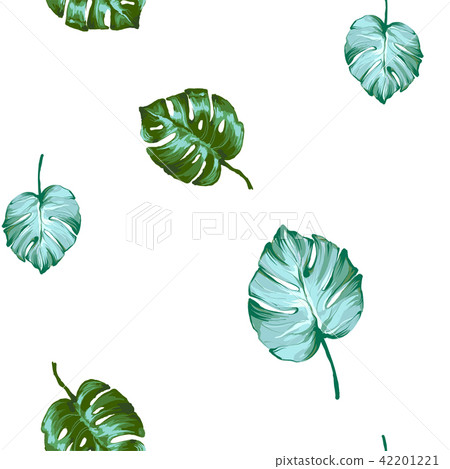 Seamless pattern from Palm monstera different kind leaves isolated on a white background. Seamless pattern from Palm monstera different kind leaves isolated on a white background. 42201221