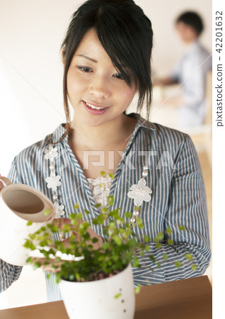 Women watering plants 42201632
