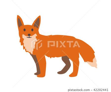 Cute red fox.Flat vector illustration. Isolated on white background. 42202441
