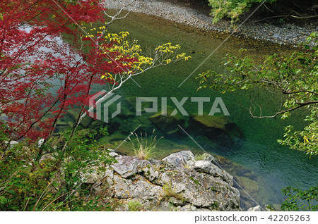 Kochi Prefecture Shimanto-shi Kurokawa River Kurevital Valley Kochi Prefecture Shimanto-shi Kurokawa River Kurevital Valley 42205263