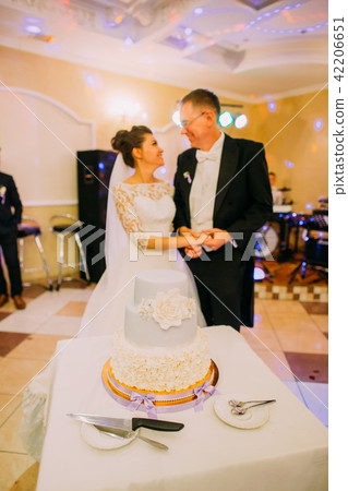 The white marzipan cake with flowers at the background of the happy newlyweds. The white marzipan cake with flowers at the background of the happy newlyweds. 42206651
