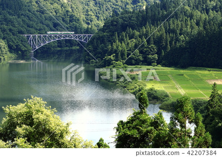 Today's line of summer 42207384