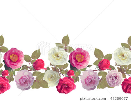 Roses border watercolor 42209077