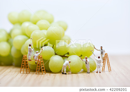Group of miniature people washing bunch grape Group of miniature people washing bunch grape 42209201
