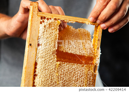 Honeycomb in a wooden frame Honeycomb in a wooden frame 42209414