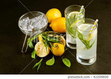 Tarragon lemonade drink 42209600