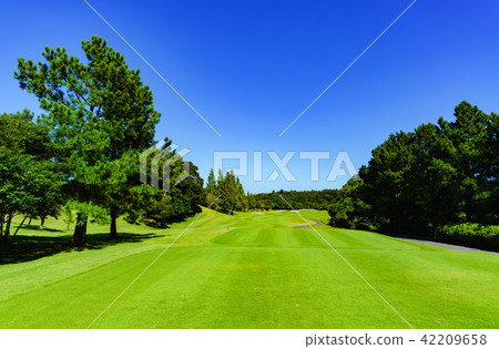 Japanese golf course 42209658