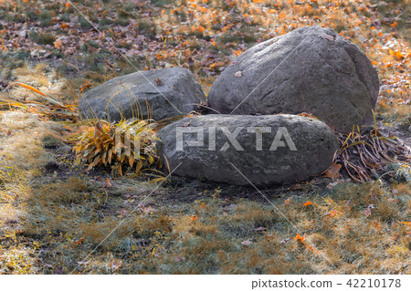 Decorative decoration of large boulders in the Park 42210178