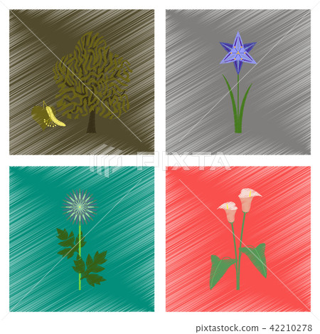 illustration flower calla aster narcissus linden 42210278