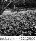Bamboo sea 42212900