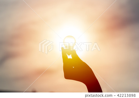 Idea and creativity concept. Silhouette hand. 42213898