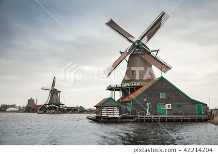 Windmills on Zaan river coast, Netherlands 42214204