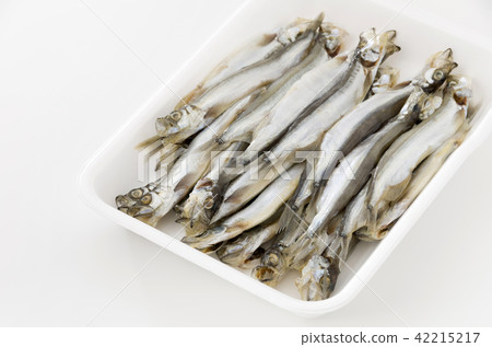 小牛澱粉和蘑菇（男） 42215217