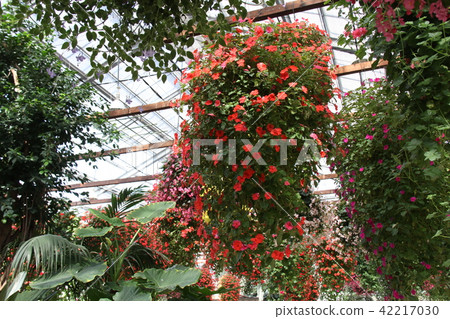 神戶動物王國 42217030