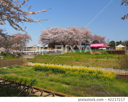 Ishido Kamakura Ishido Kamakura 42217217