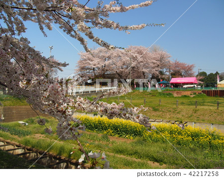 Ishido Kamakura Ishido Kamakura 42217258