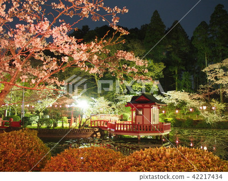 Mobara Sakura Festival Mobara Sakura Festival 42217434