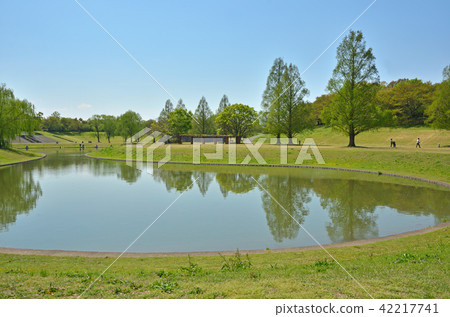 Meanuma稻田:大宮第二公園 Meanuma稻田:大宮第二公園 42217741