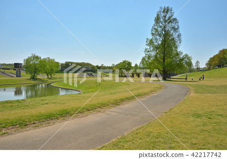 Meanuma稻田:大宮第二公園 Meanuma稻田:大宮第二公園 42217742