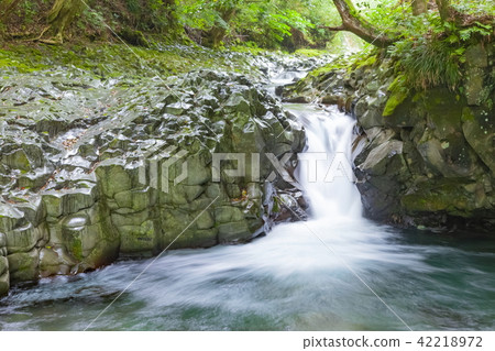 靜岡縣賀茂郡川津町河津Nanakidake的蟹瀑布 42218972