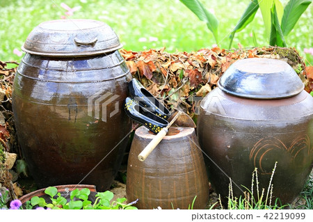 It is time of cosmos! It is time of cosmos! 42219099