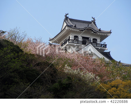 立山城 立山城 42220886