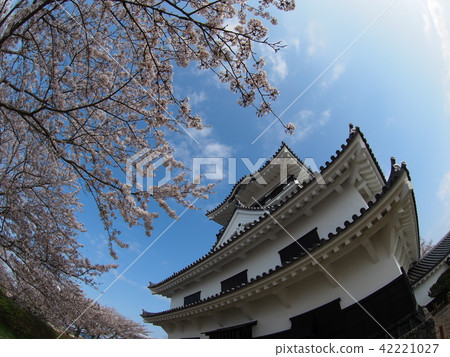 Tateyama Castle Tateyama Castle 42221027